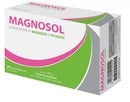 MAGNOSOL 20BUST EFFERV