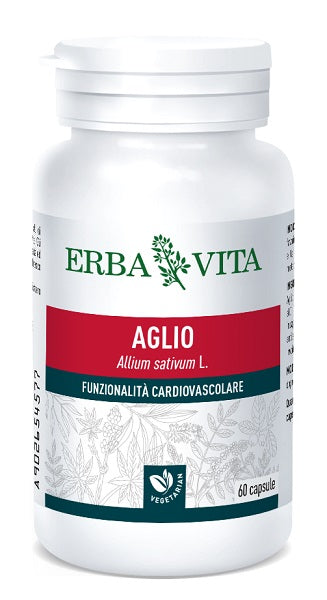 AGLIO 60CPS 500MG