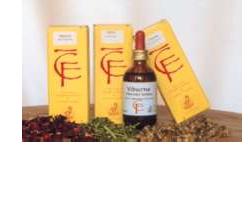 FICO GEMME 100ML MG