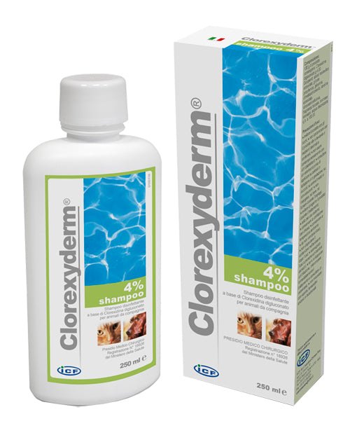 CLOREXYDERM SH 4% 250ML