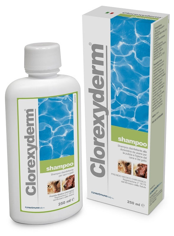 CLOREXYDERM SHAMPOO 250ML