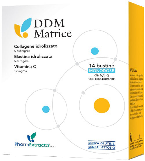 DDM MATRICE 14BUST