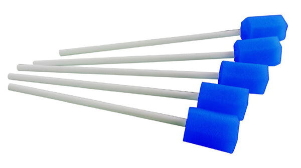 BASTONCINO PULIZ CAVO OR 5PZ