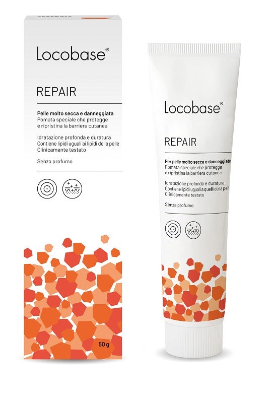 LOCOBASE REPAIR 50G