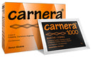 CARNERA 1000 18BUST