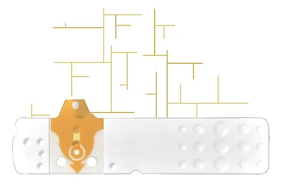 LINEA D ORO 25STR GLICEMIA