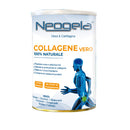NEOGELA POLVERE 400G