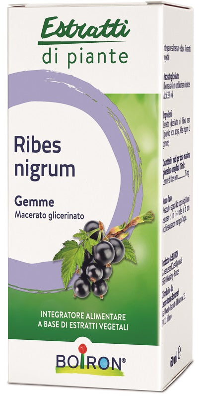 RIBES NIGRUM BOIRON MG 60ML