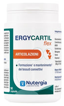 ERGYCARTIL FLEX 90CPS