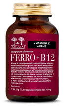 FERRO+B12 SALUGEA 60CPS