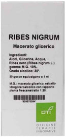 RIBES NIGRUM MG10% GOCCE 100ML