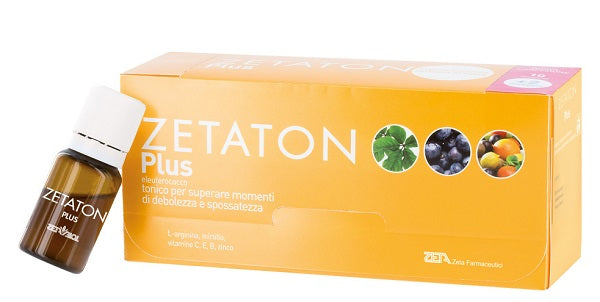 ZETATON PLUS 12FX10ML<