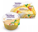 FORTINI CREAMY FRUIT FR GI 4PZ