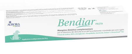 BENDIAR PASTA 30G