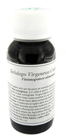 LVS 07N SOLIDAGO VIRGAURE COMP