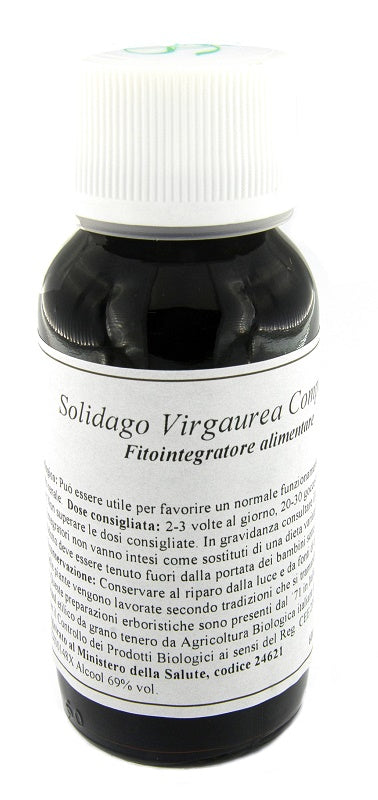 LVS 07N SOLIDAGO VIRGAURE COMP