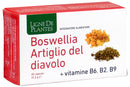 Boswellia artiglio diavol60cps