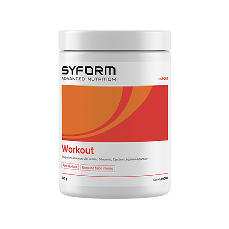 WORKOUT 360g Limone